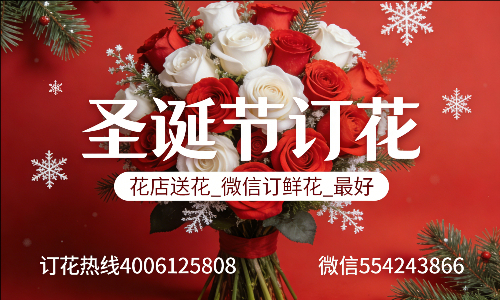 东莞塘厦镇花店送花_微信订鲜花_圣诞节订花_最好? 东莞塘厦镇花店